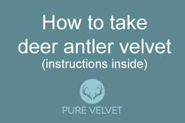 read on to find out the right way to take deer antler velvet with clear instructions