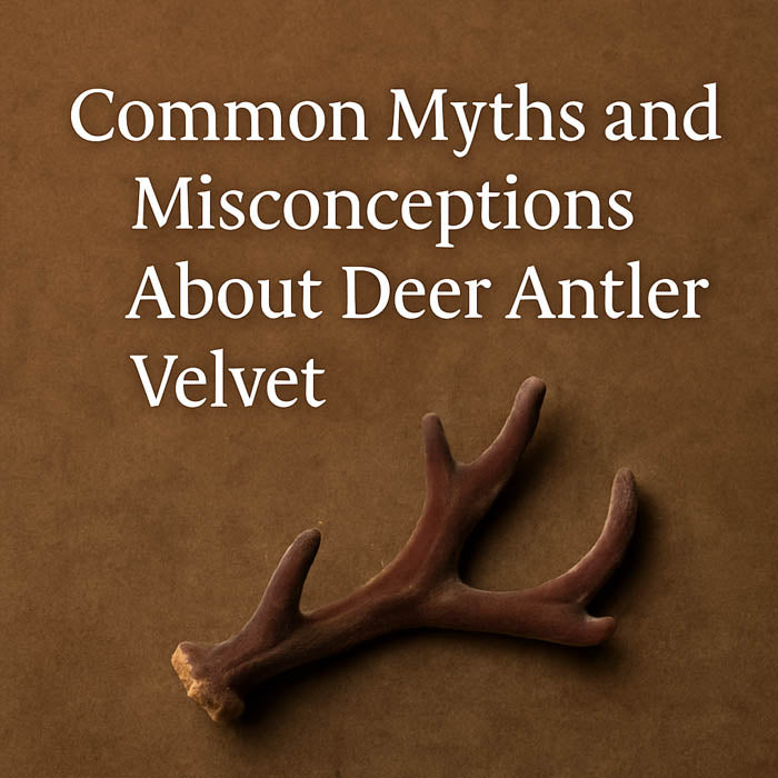 Common Myths and Misconceptions About Deer Antler Velvet
