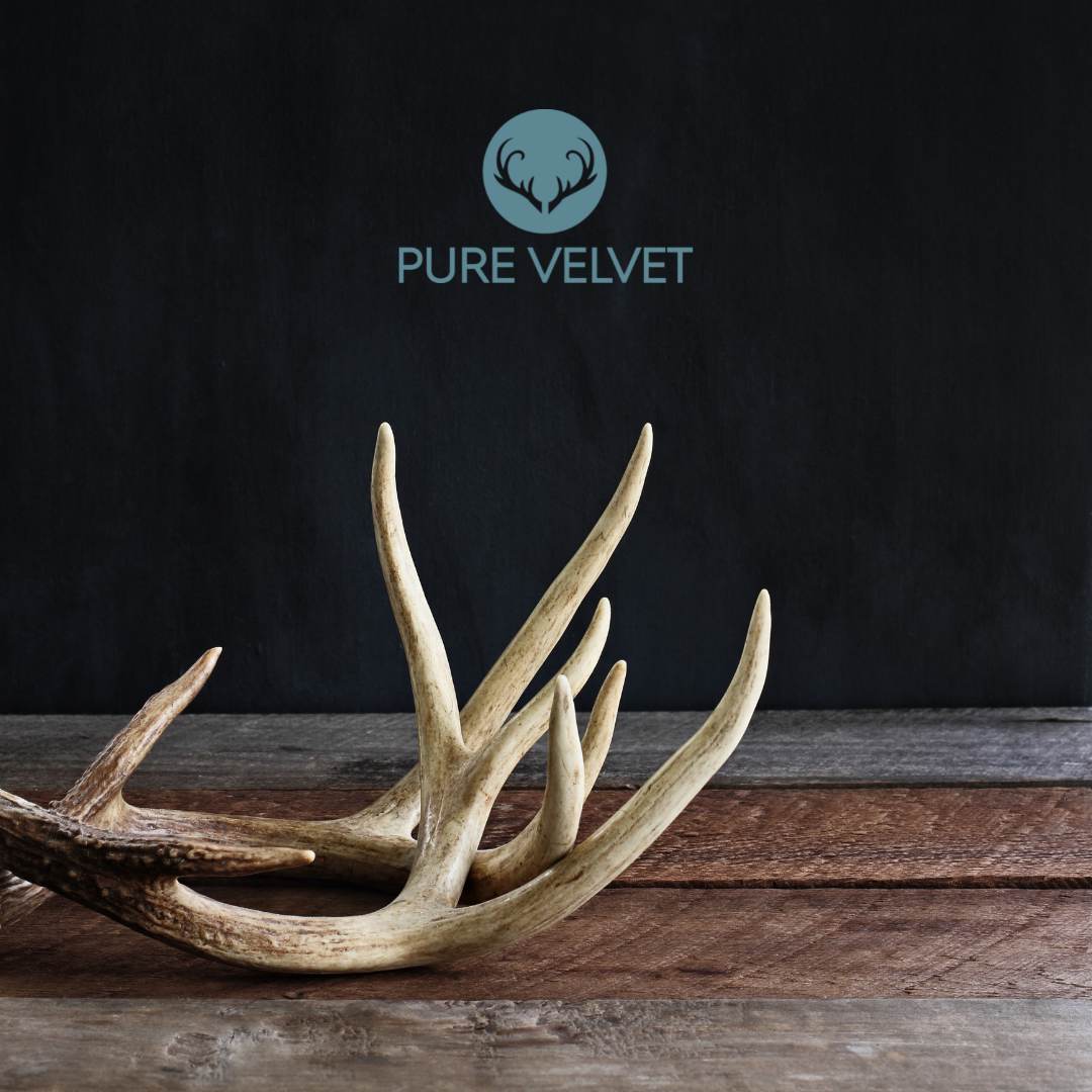 Deer Antler Velvet Poem "A Gift from the Wild"