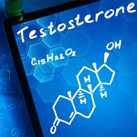 Men lose testosterone as they age. Learn why and how they can improve the testosterone levels.