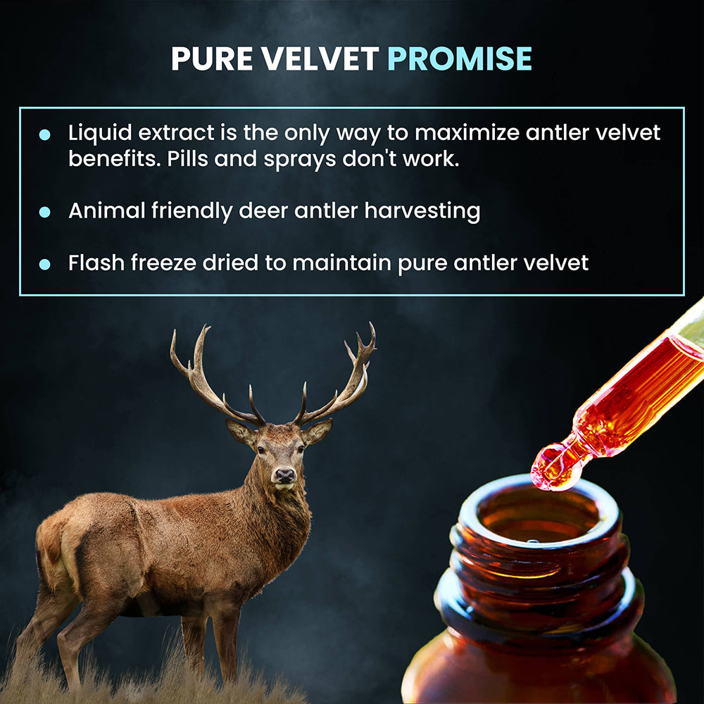 Pure Form of Deer Antler Velvet