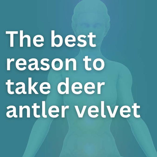 What is the best reason to take deer antler velvet?