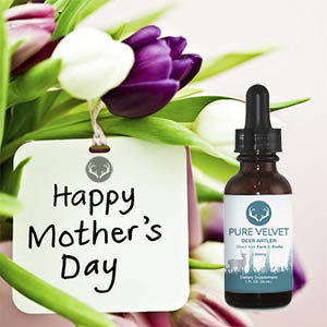 Gift Deer Antler Velvet to the women in your life to improve their endurance, recovery, immunity and joint health