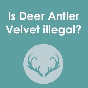 is Deer antler velvet, the natural supplement that helps enhance immunity, endurance, joint health, testosterone levels, illegal?
