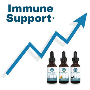 Learn why and how Immune support supplements peaked in interest during the Covid-19 pandemic and the impact of Pure Velvet Deer Antler Velvet