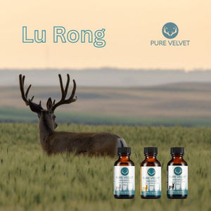 Learn the similarities and differences between lu rong and deer antler velvet, which help with endurance, anti aging and overall wellness