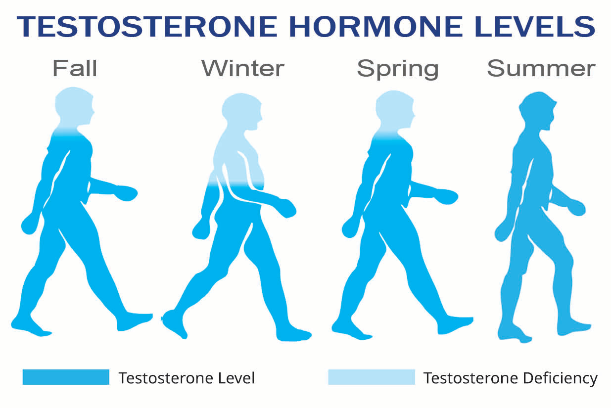 Testosterone levels drop during winter. Learn how different seasons impact testosterone levels in your body.