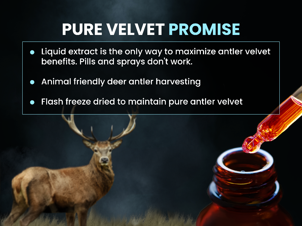 Pure Form of Deer Antler Velvet