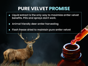 Pure Form of Deer Antler Velvet