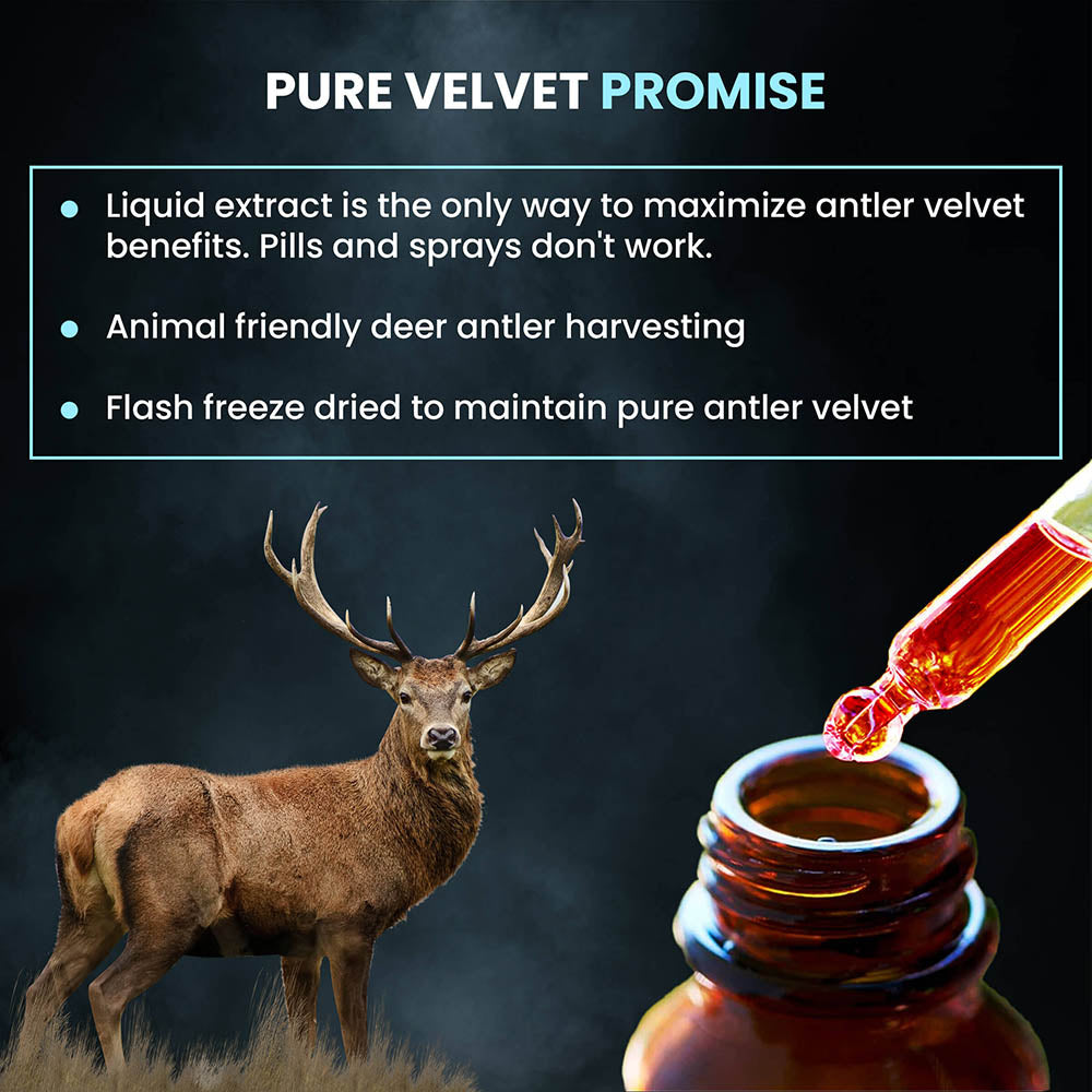 Pure Deer Antler Velvet - Elite Antler has the Highest Potency
