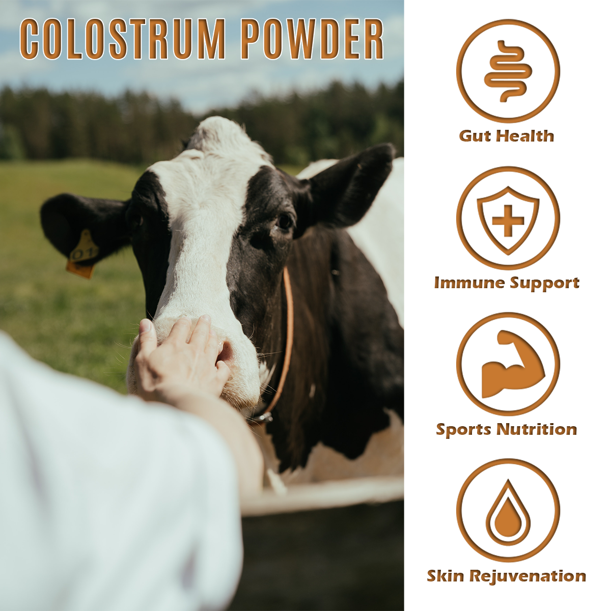 Colostrum Powder for Gut & Immune Health