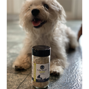 Picture of a dog laying next to our senior dog supplement that promotes healthy joints